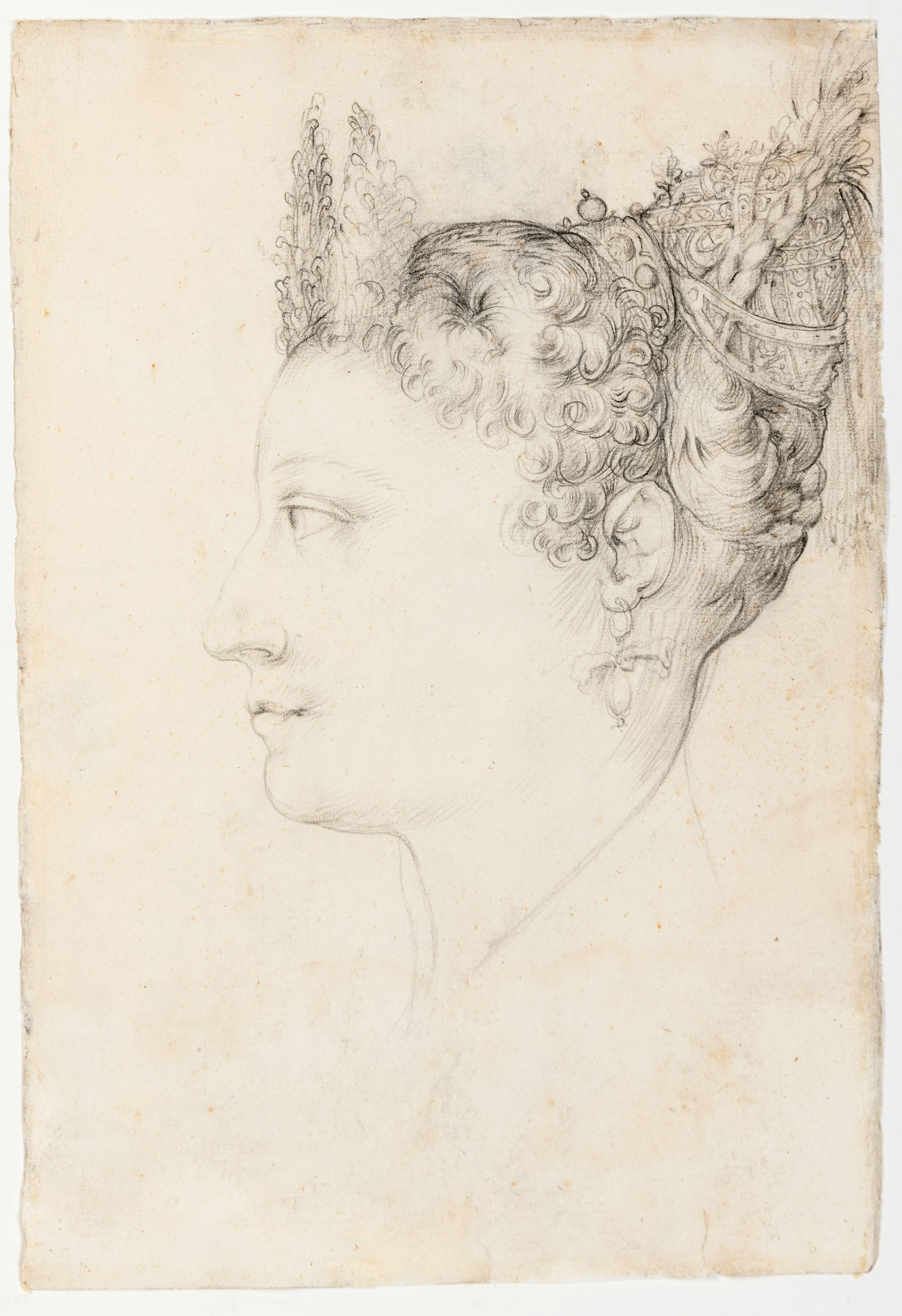 The Head of a Woman with an Elaborate Hairstyle in Profile